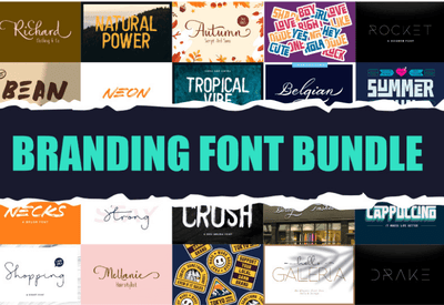 The Branding Font Bundle - 12 Impressive Fonts - Artixty
