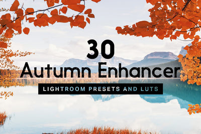 570 Professional Lightroom Presets, LUTs & Camera RAW Presets Bundle - Artixty