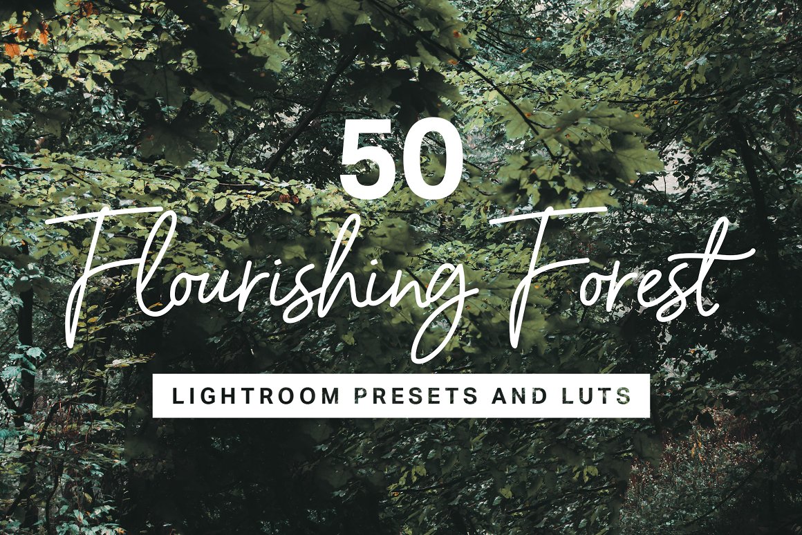570 Professional Lightroom Presets, LUTs & Camera RAW Presets Bundle - Artixty