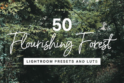 570 Professional Lightroom Presets, LUTs & Camera RAW Presets Bundle - Artixty
