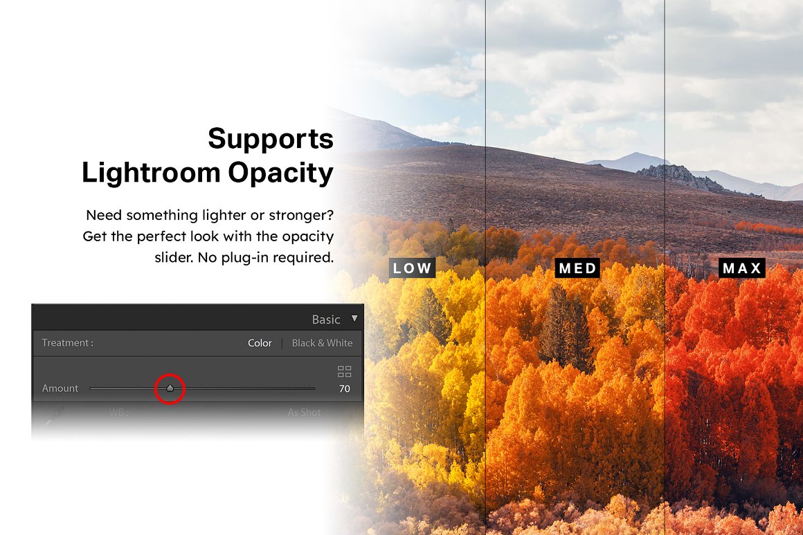 570 Professional Lightroom Presets, LUTs & Camera RAW Presets Bundle - Artixty
