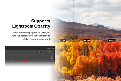 570 Professional Lightroom Presets, LUTs & Camera RAW Presets Bundle - Artixty