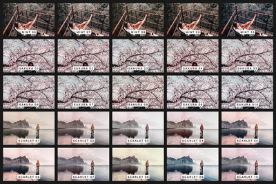 570 Professional Lightroom Presets, LUTs & Camera RAW Presets Bundle - Artixty