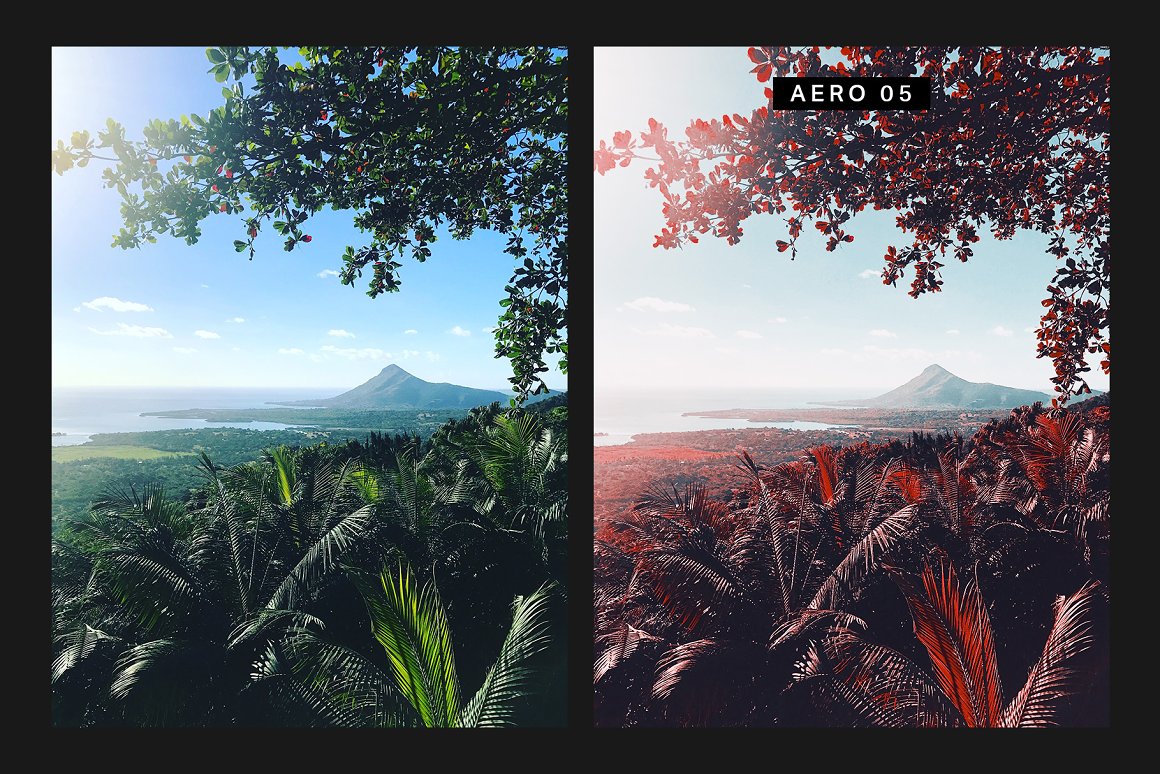 570 Professional Lightroom Presets, LUTs & Camera RAW Presets Bundle - Artixty