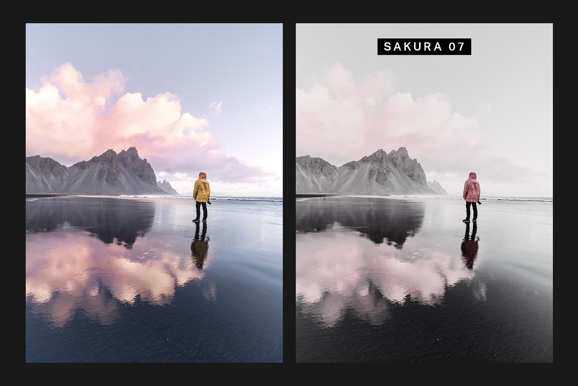 570 Professional Lightroom Presets, LUTs & Camera RAW Presets Bundle - Artixty