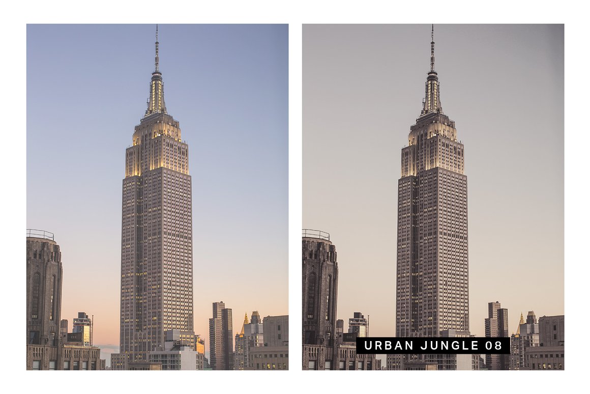 570 Professional Lightroom Presets, LUTs & Camera RAW Presets Bundle - Artixty