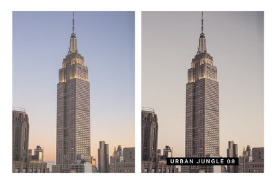 570 Professional Lightroom Presets, LUTs & Camera RAW Presets Bundle - Artixty