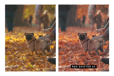 570 Professional Lightroom Presets, LUTs & Camera RAW Presets Bundle - Artixty