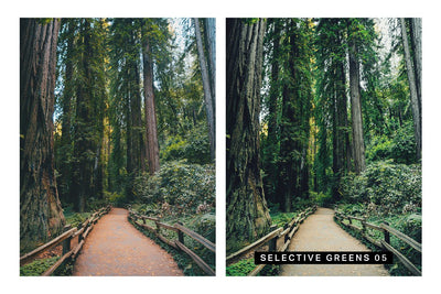570 Professional Lightroom Presets, LUTs & Camera RAW Presets Bundle - Artixty