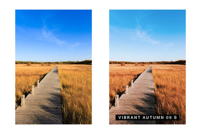 570 Professional Lightroom Presets, LUTs & Camera RAW Presets Bundle - Artixty