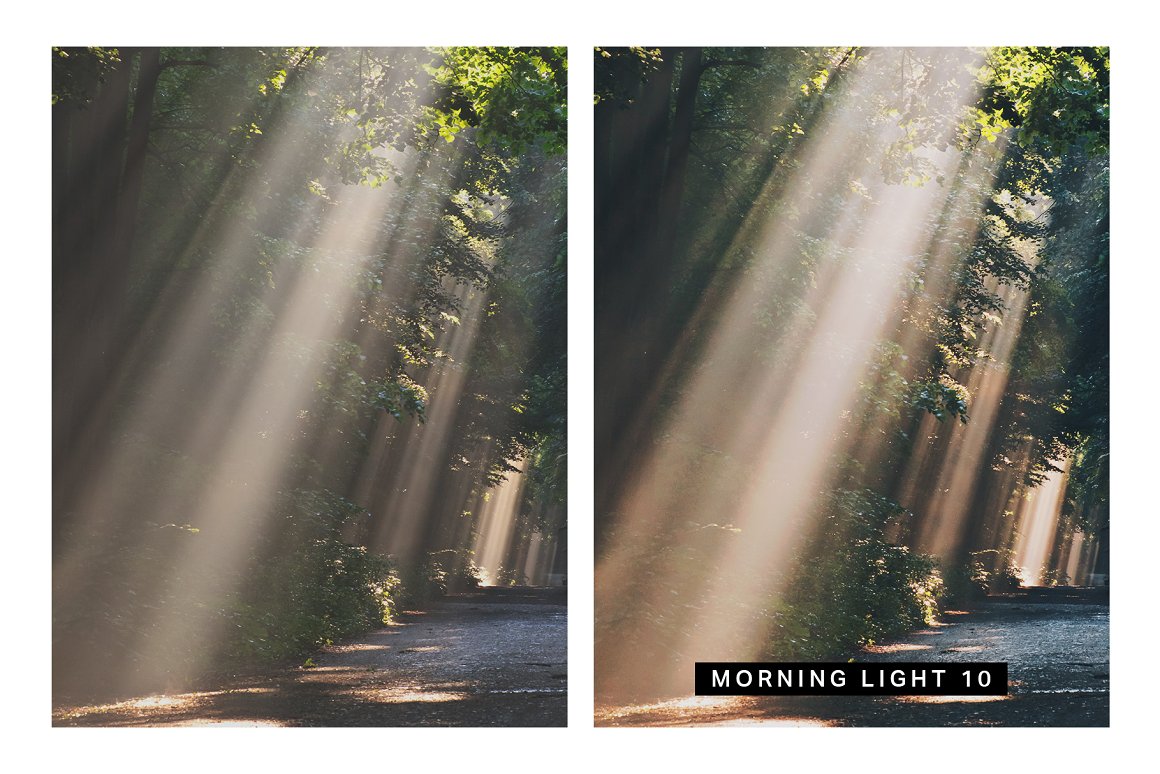 570 Professional Lightroom Presets, LUTs & Camera RAW Presets Bundle - Artixty