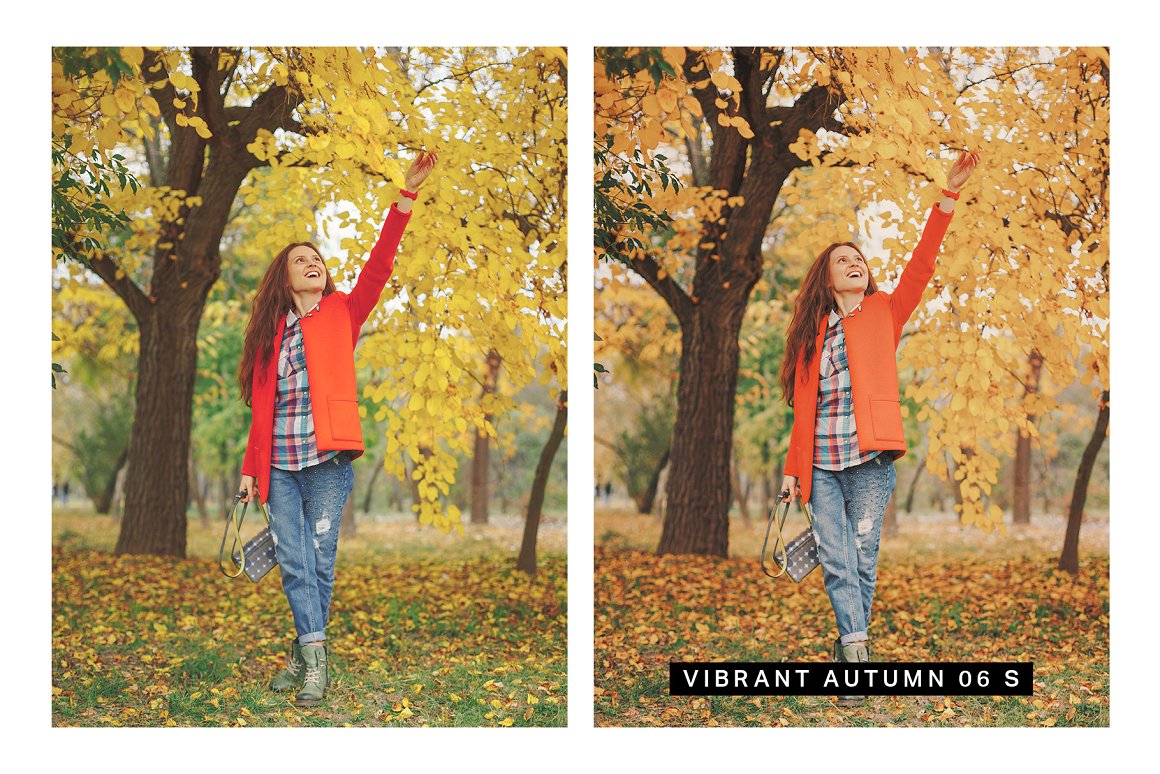 570 Professional Lightroom Presets, LUTs & Camera RAW Presets Bundle - Artixty