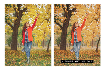 570 Professional Lightroom Presets, LUTs & Camera RAW Presets Bundle - Artixty