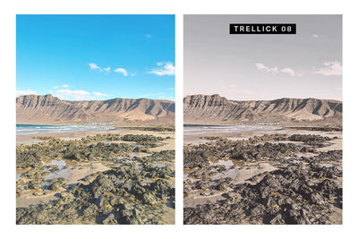 570 Professional Lightroom Presets, LUTs & Camera RAW Presets Bundle - Artixty