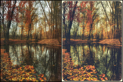 7000+ Professional Lightroom Presets - Artixty