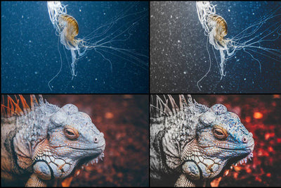 7000+ Professional Lightroom Presets - Artixty