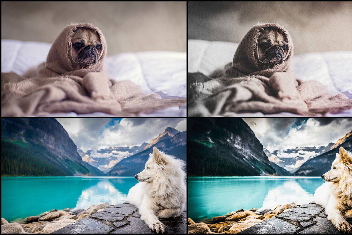 7000+ Professional Lightroom Presets - Artixty
