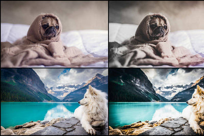 7000+ Professional Lightroom Presets - Artixty