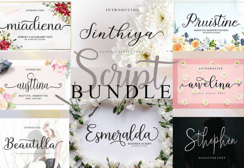 Gorgeous Calligraphy Fonts Bundle - Artixty