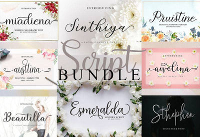 Gorgeous Calligraphy Fonts Bundle - Artixty