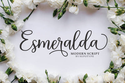 Gorgeous Calligraphy Fonts Bundle - Artixty