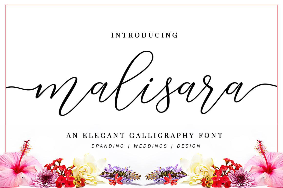 Gorgeous Calligraphy Fonts Bundle - Artixty