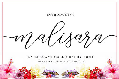 Gorgeous Calligraphy Fonts Bundle - Artixty