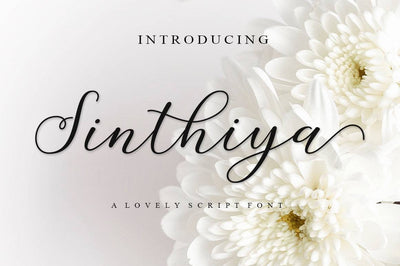 Gorgeous Calligraphy Fonts Bundle - Artixty