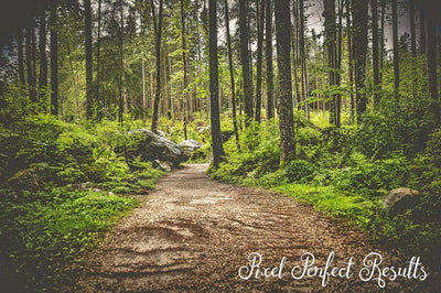 Magical Lightroom Presets Collection - Artixty
