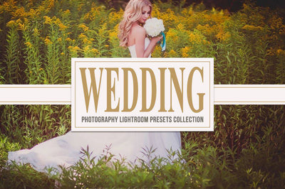 Magical Lightroom Presets Collection - Artixty