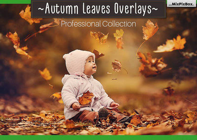 2000+ Mega Photo Overlays Bundle - Artixty
