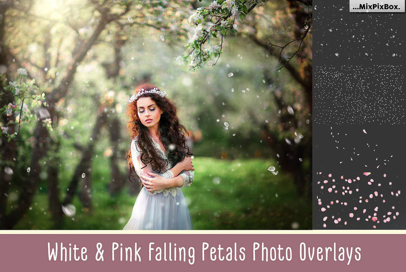 2000+ Mega Photo Overlays Bundle - Artixty