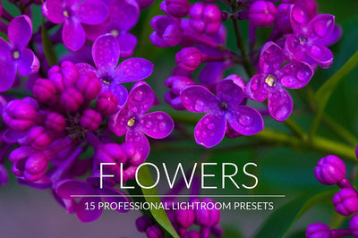 5,000+ Professional Lightroom Presets Bundle - Artixty