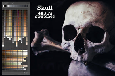 Massive Photoshop & Illustrator Swatches Bundle - Artixty
