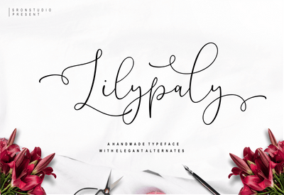 5 Beautiful Script & Calligraphy Fonts Bundle - Artixty