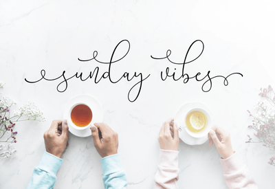 5 Beautiful Script & Calligraphy Fonts Bundle - Artixty