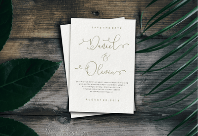 5 Beautiful Script & Calligraphy Fonts Bundle - Artixty
