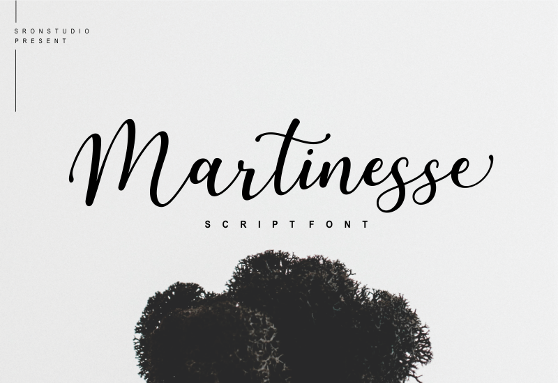5 Beautiful Script & Calligraphy Fonts Bundle - Artixty