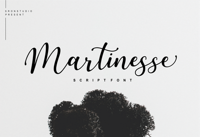 5 Beautiful Script & Calligraphy Fonts Bundle - Artixty