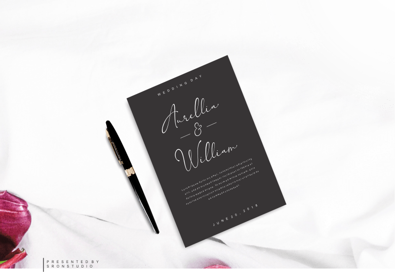 5 Beautiful Script & Calligraphy Fonts Bundle - Artixty