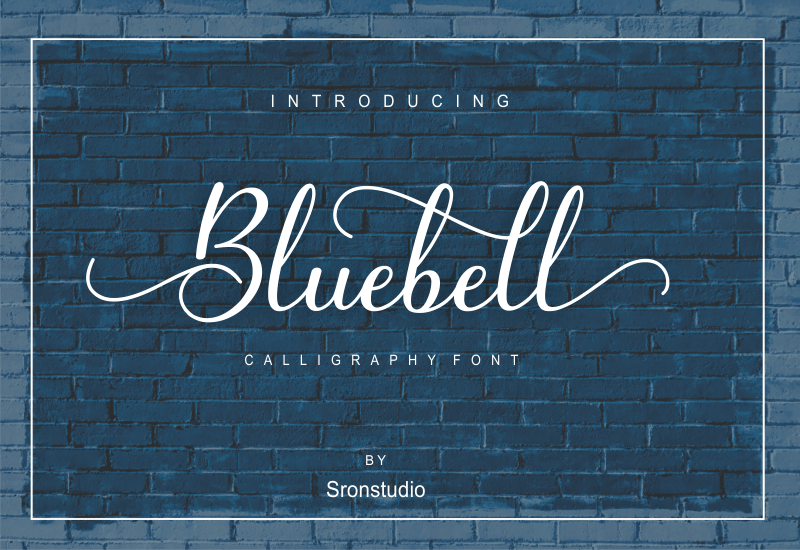 5 Beautiful Script & Calligraphy Fonts Bundle - Artixty