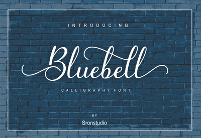 5 Beautiful Script & Calligraphy Fonts Bundle - Artixty
