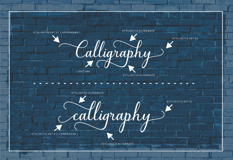 5 Beautiful Script & Calligraphy Fonts Bundle - Artixty