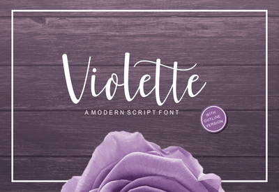 5 Beautiful Script & Calligraphy Fonts Bundle - Artixty