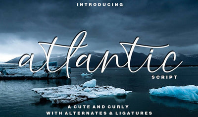 Hand-Lettered Font Bundle - 17 Romantic Script Fonts - Artixty