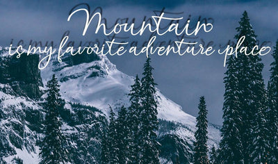 Hand-Lettered Font Bundle - 17 Romantic Script Fonts - Artixty
