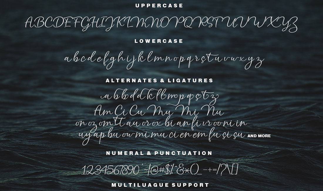 Hand-Lettered Font Bundle - 17 Romantic Script Fonts - Artixty
