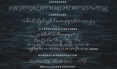 Hand-Lettered Font Bundle - 17 Romantic Script Fonts - Artixty