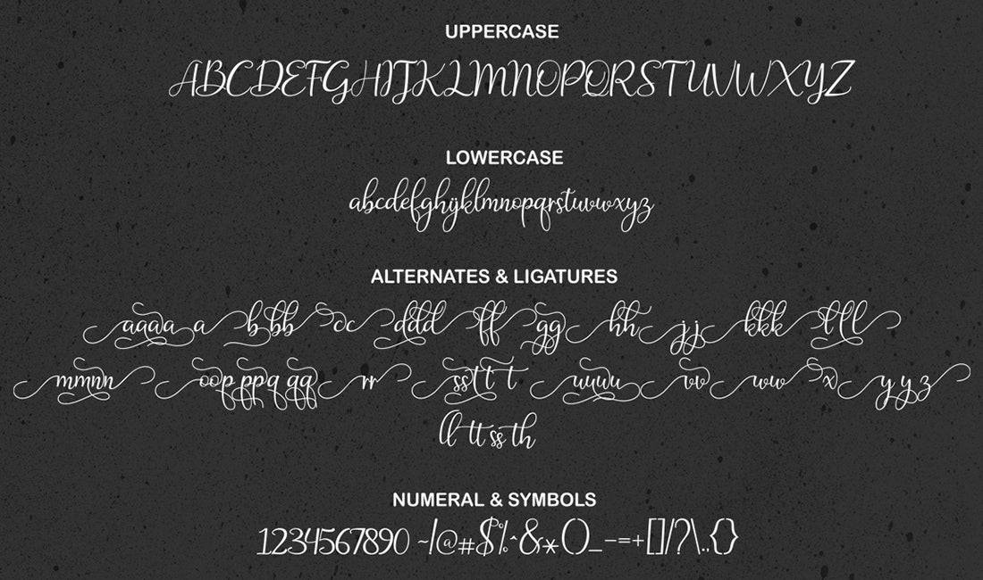 Hand-Lettered Font Bundle - 17 Romantic Script Fonts - Artixty