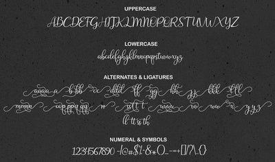 Hand-Lettered Font Bundle - 17 Romantic Script Fonts - Artixty